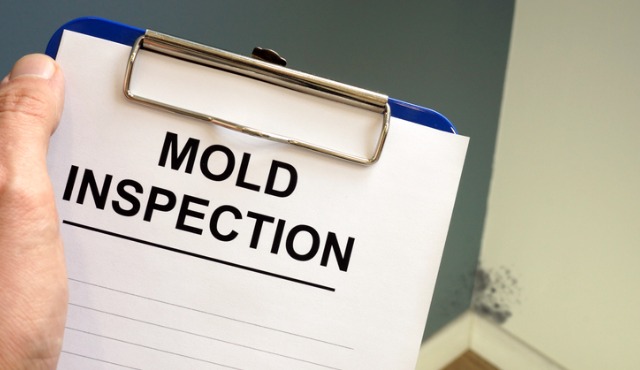 How to Check for Mold Before Purchasing a Home – RISMedia’s Housecall