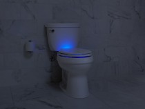 nightlight toilet