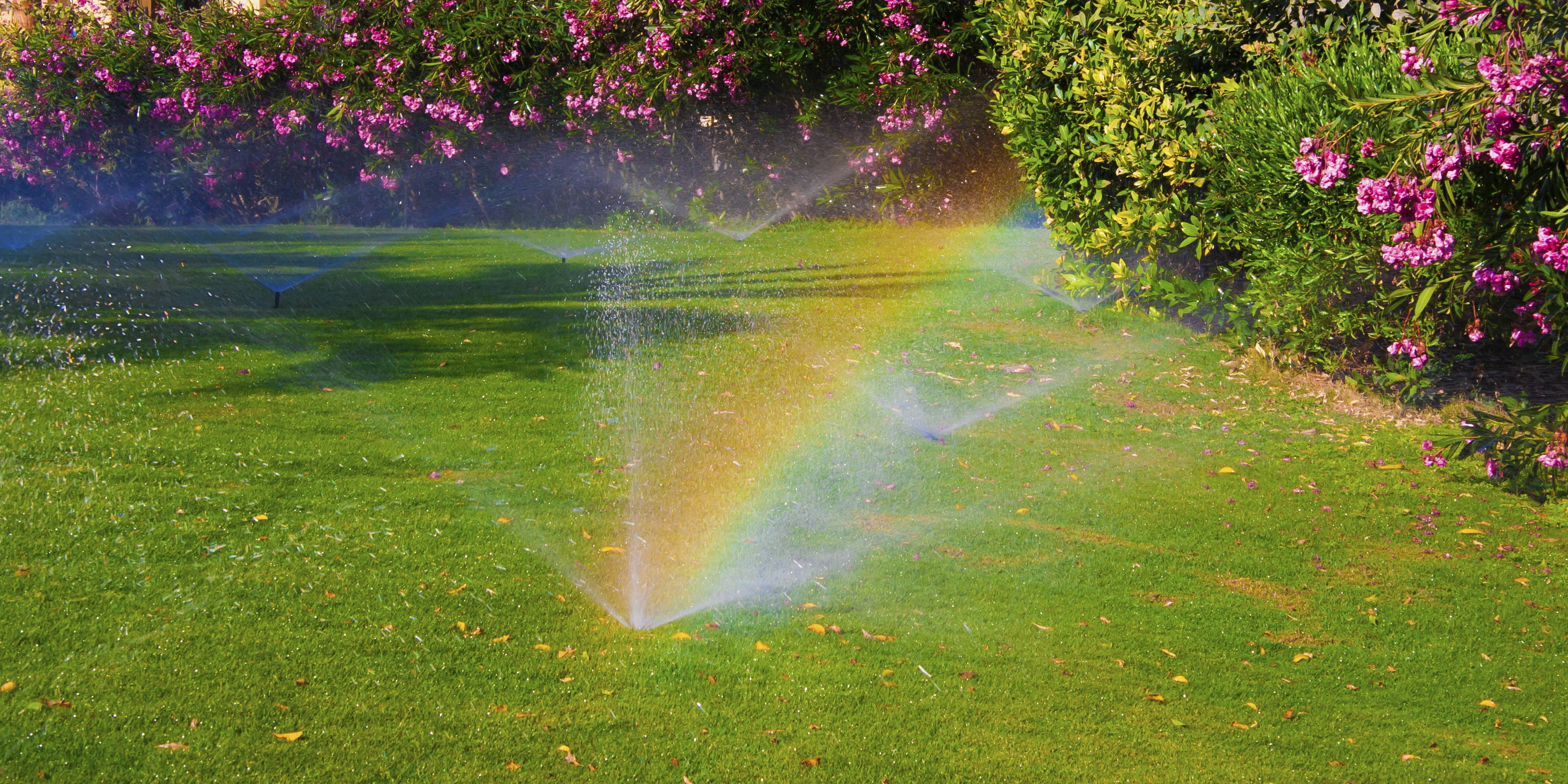 3 Ways to Green Your Spring Maintenance Routine | RISMedia\'s Housecall