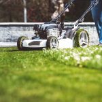 DIY Lawn Care: Pros and Cons for New Homeowners | RISMedia\'s Housecall